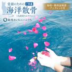愛猫のための代行海洋散骨供養チケット