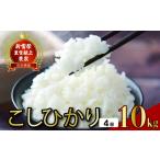 米 定期便 10kg×4回