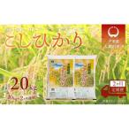 コシヒカリ 精米 10kg×2か月連続