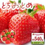 産とちおとめ 約540g
