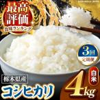 こしひかり 白米 4kg