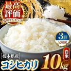 こしひかり 白米 10kg
