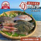 下処理あり 朝獲れ 鮮魚ボックス 大漁便4~5種