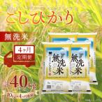 コシヒカリ 精米 10kg×4か月連続