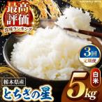 お米 とちぎの星 無洗米 5kg