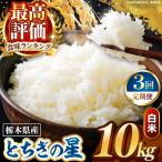 とちぎの星 白米 10kg
