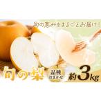旬の梨 品種おまかせ 約3kg