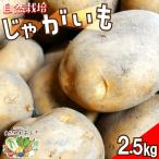 自然栽培ホクホクジャガイモ2.5kg