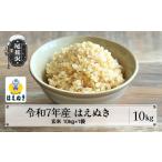 ふるさと納税 令和7年産 玄米 はえぬき 10kg kg-hagxa10 山形県尾花沢市