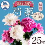 芍薬 切花 おまかせ2 3品種 25本セット