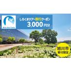 fu.... налог [ Asahikawa город ].... Tour . использование возможный WEB путешествие купон (3,000 иен минут ) * mail выпуск | путешествие купон _05447 Hokkaido Asahikawa город 