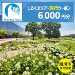 しろくまツアーで利用可能なWEB旅行クーポン 6,000円分