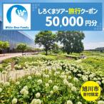 fu.... налог [ Asahikawa город ].... Tour . использование возможный WEB путешествие купон (50,000 иен минут ) * mail выпуск | путешествие купон _05439 Hokkaido Asahikawa город 