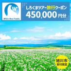 fu.... налог [ Asahikawa город ].... Tour . использование возможный WEB путешествие купон (450,000 иен минут ) * mail выпуск | путешествие купон _05436 Hokkaido Asahikawa город 