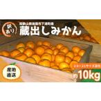 ふるさと納税 訳あり 蔵出しみかん 約10kg 2S〜2Lサイズ混合 和歌山県海南市