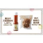 豚肉 セット 肉の柴崎 魔法の万能調味料 しばドレ&しばさき…