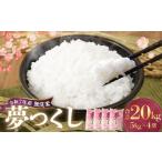 無洗米 食味鑑定士厳選 夢つくし 計20kg
