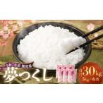 無洗米 食味鑑定士厳選 夢つくし 計30kg