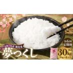 無洗米 食味鑑定士厳選 夢つくし 5kg×6回