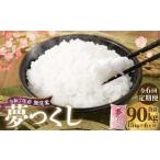 無洗米 食味鑑定士厳選 夢つくし 15kg