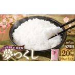 無洗米 食味鑑定士厳選 夢つくし 20kg