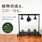 ライティングレール付き植物棚 ボタニカルラック