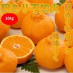 ふるさと納税 【訳あり】みさき果樹園の不知火10kg【C21-61】【1705416】 愛媛県八幡浜市