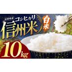 ふるさと納税 長野県産コシヒカリ白米 10kg 長野県塩尻市