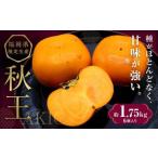 秋のフルーツの王様 ブランド柿 秋王 化粧箱 約1.75kg