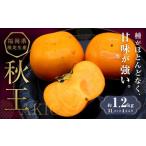ブランド柿 秋王 約1.2kg