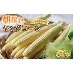朝採れ プレミアム味来のヤングコーン 50本