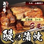 うなぎ 蒲焼 うな雄 三尾