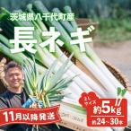 長ネギ 2L