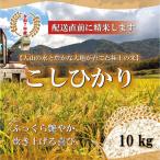 山崎農園のこしひかり 無洗米 10kg