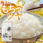 令和8年産 精米 夢つくし 5kg