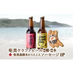 奄美 クラフトビール 2本セット と 奄美島豚