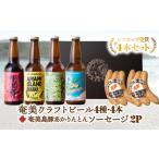 奄美 クラフトビール ビアカップ 受賞 4本セット