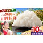 ヒノヒカリ 白米 10kg