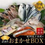 紀州高下水産 おまかせ 詰合せ 総重量約1kg