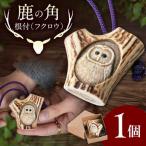 鹿の角 根付 フクロウ AJAO128