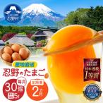 ”忍野の卵”コクの赤玉30個×2回 ※割れ保証含む