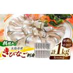 朝獲れきびなご刺身セット きびなご丸ごと16尾パック×5