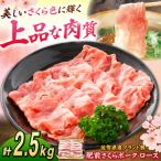 肥前さくらポーク ロース 500g