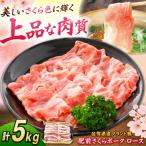 肥前さくらポーク ロース 500g