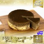 5回 定期便 チーズケーキ ほうじ茶ニューヨーク