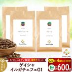 コーヒー スペシャルティ浅煎り 2袋×2種類