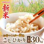 コシヒカリ 玄米30kg