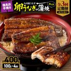 九州産 卵うなぎ 備長炭手焼カット蒲焼パック 4袋