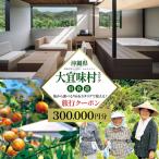 沖縄 後から 旅行30万円分