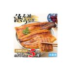 浜名湖産うなぎ蒲焼 約140g×5尾入り